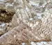 Пайетка на сетке ракушка, бежевый - фото 2 - интернет-магазин stage.tkani-atlas.com.ua