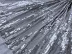Пайетка на сетке ракушка, серебро - интернет-магазин stage.tkani-atlas.com.ua