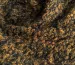 Букле люрекс, горчица - фото 3 - интернет-магазин stage.tkani-atlas.com.ua