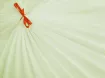 Фатин кристал, ванильный - интернет-магазин stage.tkani-atlas.com.ua