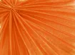 Фатин кристал, оранжевый - интернет-магазин stage.tkani-atlas.com.ua